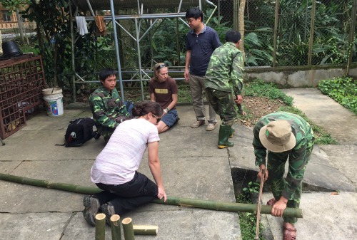 Making bamboo enrichment with rescue center staff 
