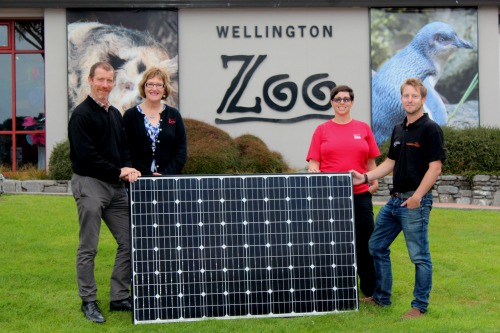 Wellington Zoo solar panels