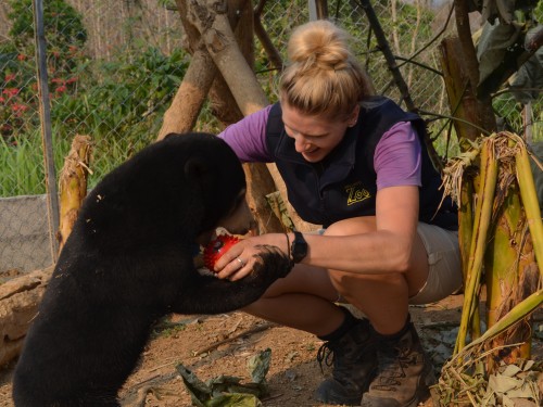 Wellington Zoo staff, Amy Saunders in Laos working with Free the Bears