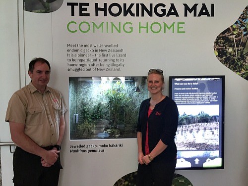 Zoo staff: Simon and Amanda welcoming the Jewelled Gecko to Otago Museum
