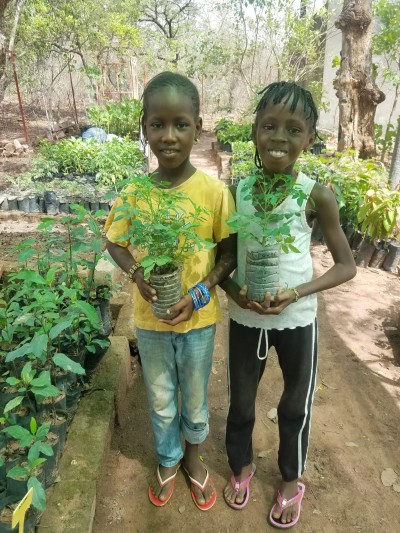 Local children from the Roots and Shoots programme