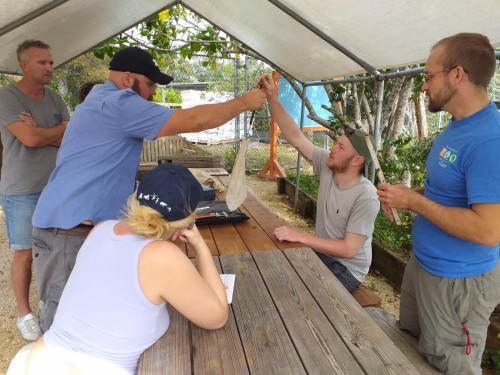 Dave and the Blue Iguana Conservation team weighing a Blue Iguana