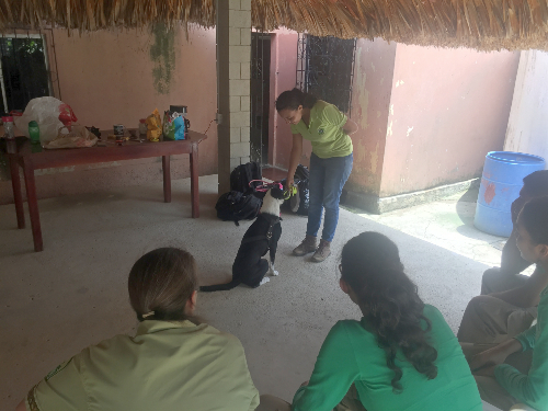 The Proyecto Tití education team working on their dog training
